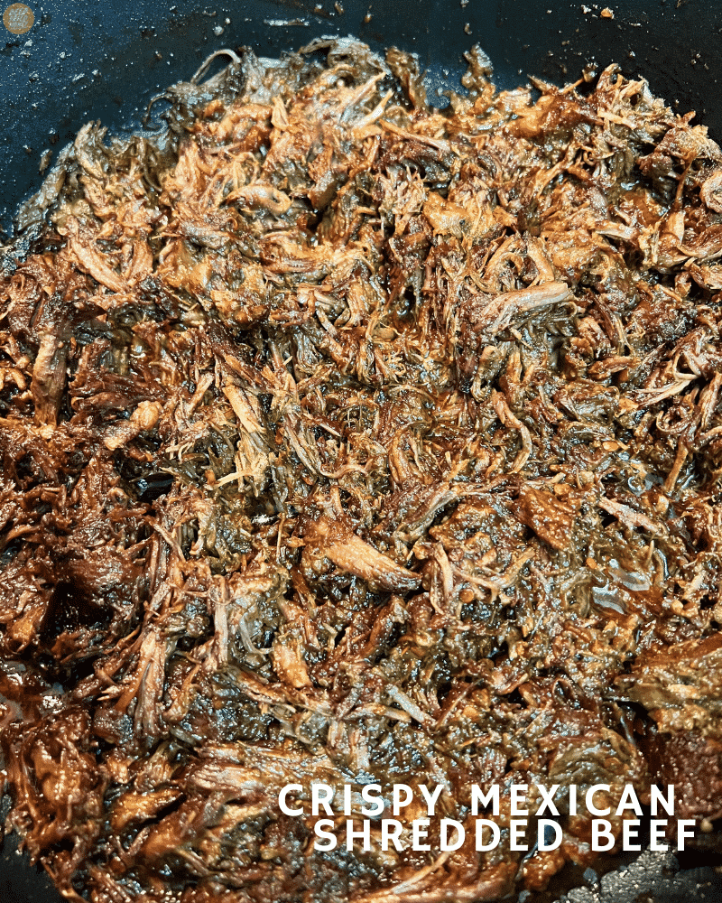 Crispy Mexican Shredded Beef