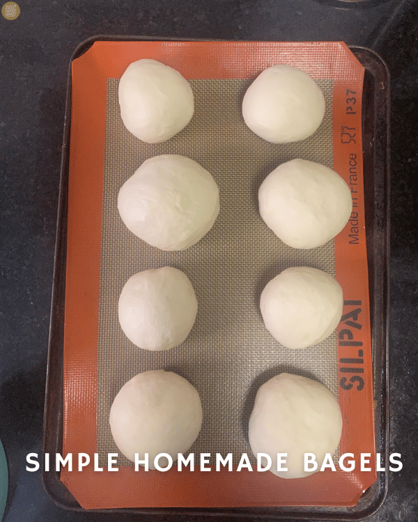 dough rounds for Simple Homemade Bagels