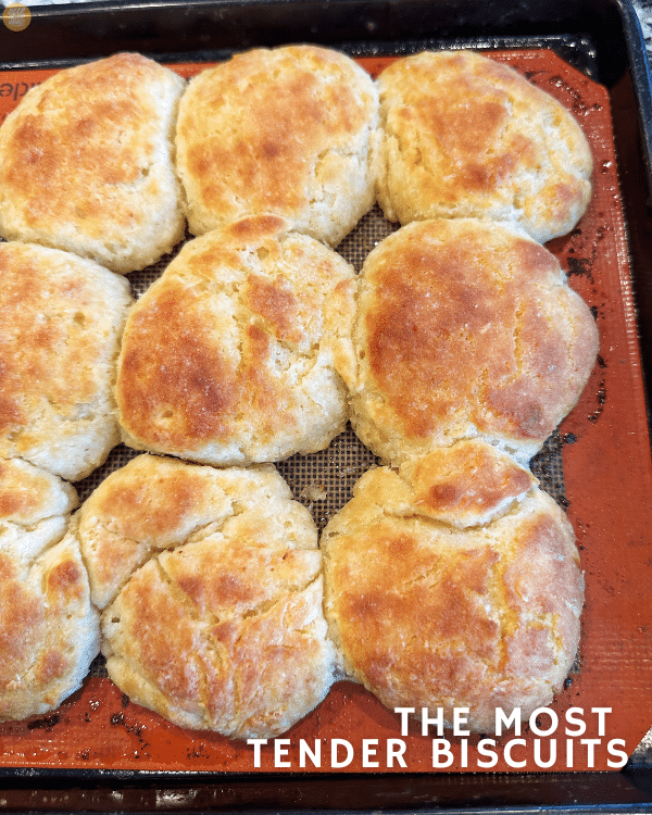 The Most Tender Biscuits